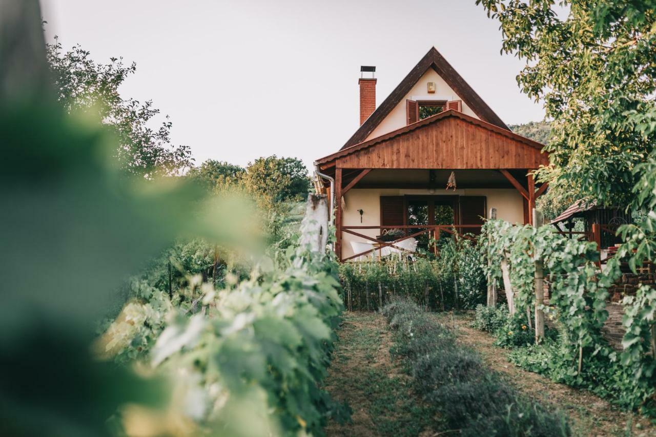 Szent Gyoergy Cottage Hegymagas Esterno foto